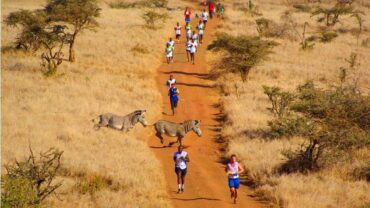 Kenya Safari Marathon
