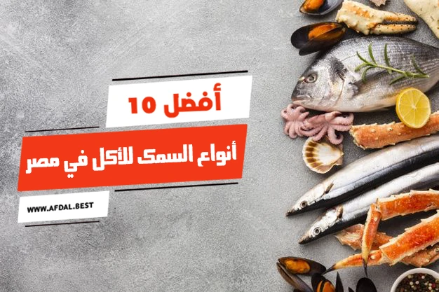 أفضل 10 أنواع السمك للأكل في مصر