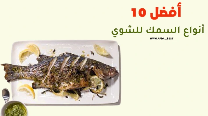أفضل 10 أنواع السمك للشوي