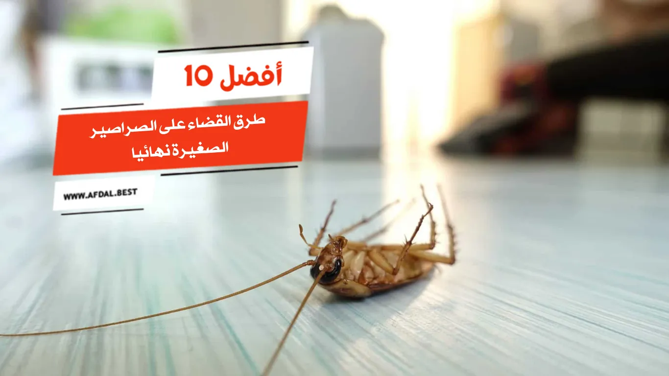 أفضل 10 طرق القضاء على الصراصير الصغيرة نهائيا