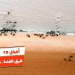 أفضل 10 طرق للقضاء على النمل
