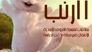 برنامج أ أرنب – بطاقات تعليمية للحروف الأبجدية