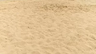 شاطئ السماد
