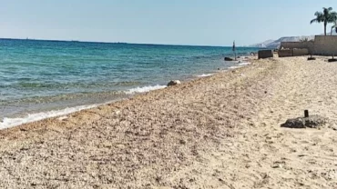شاطئ جنكو
