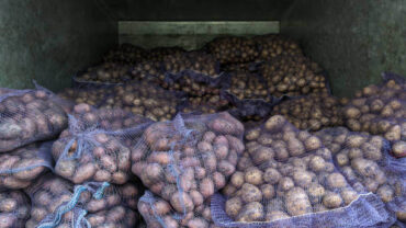 نصائح تخزين البطاطس