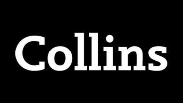 Collins Translator