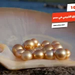 أفضل 10 أماكن بيع اللؤلؤ الطبيعي في مصر