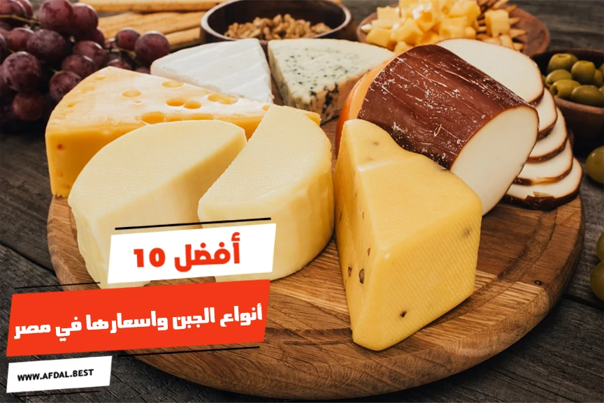 أفضل 10 أنواع الجبن واسعارها في مصر