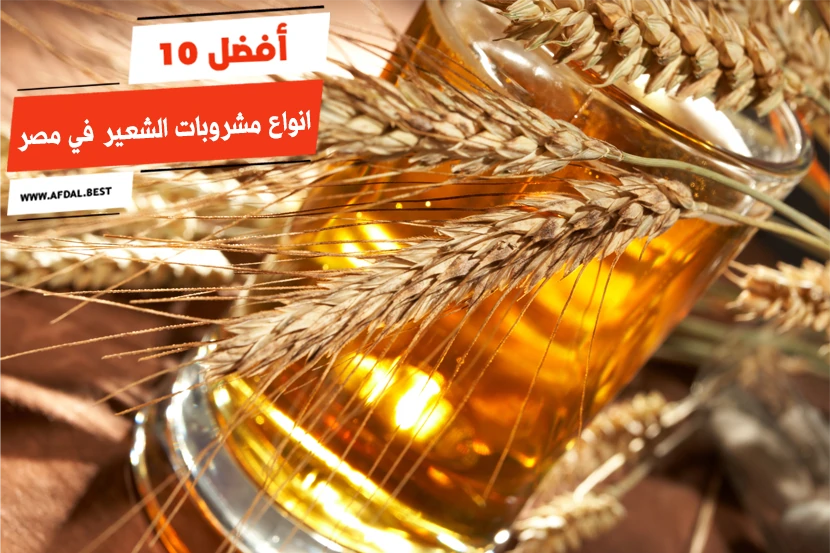أفضل 10 انواع مشروبات الشعير في مصر