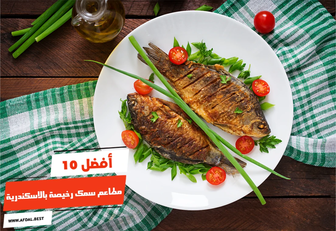 أفضل 10 مطاعم سمك رخيصة بالاسكندرية
