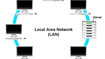 الشبكة المحلية /  LAN
