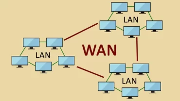الشبكة الواسعة /  WAN