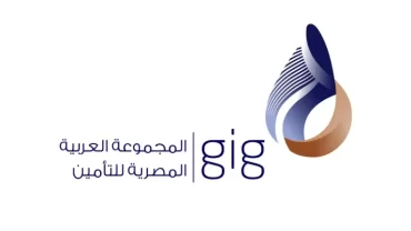 المجموعة العربية المصرية للتأمين جي اي جي – GIG