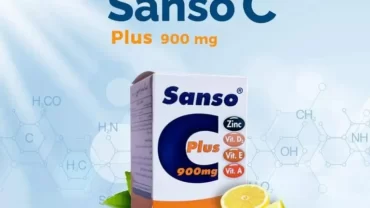 سانسو سي / Sanso C