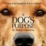 فيلم A Dog’s Purpose