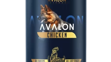 أفالون إتشيكن/ Avalon Chicken