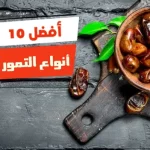أفضل 10 أنواع التمور في مصر