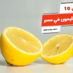 أفضل 10 أنواع الليمون في مصر