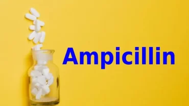 الأمبيسلين / Ampicillin