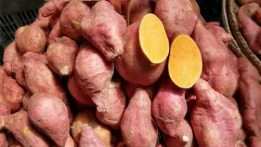 البطاطا الحلوة والعادية