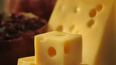 الجبن السويسري