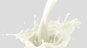 الحليب البقري
