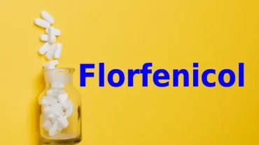 الفلورفينيكول / Florfenicol