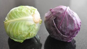 الكرنب cabbage