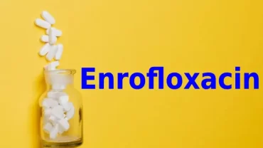 انروفلوكساسين / Enrofloxacin