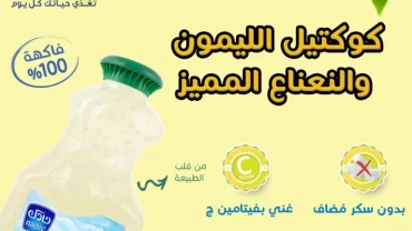 عصير نادك نكتار ليمون ونعناع / Nadec lemon mint & fruit mix nectar