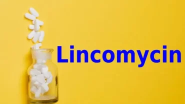 لينكومايسين / Lincomycin